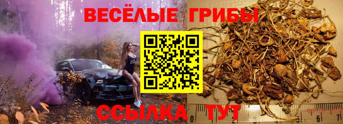 Галлюциногенные грибы Psilocybine cubensis  Вход с VPN  Тихвин 